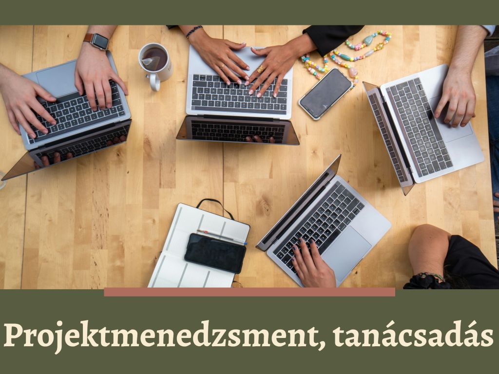 Projektmenedzsment, tanácsadás